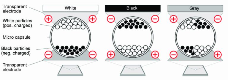 drawing of eink capsules